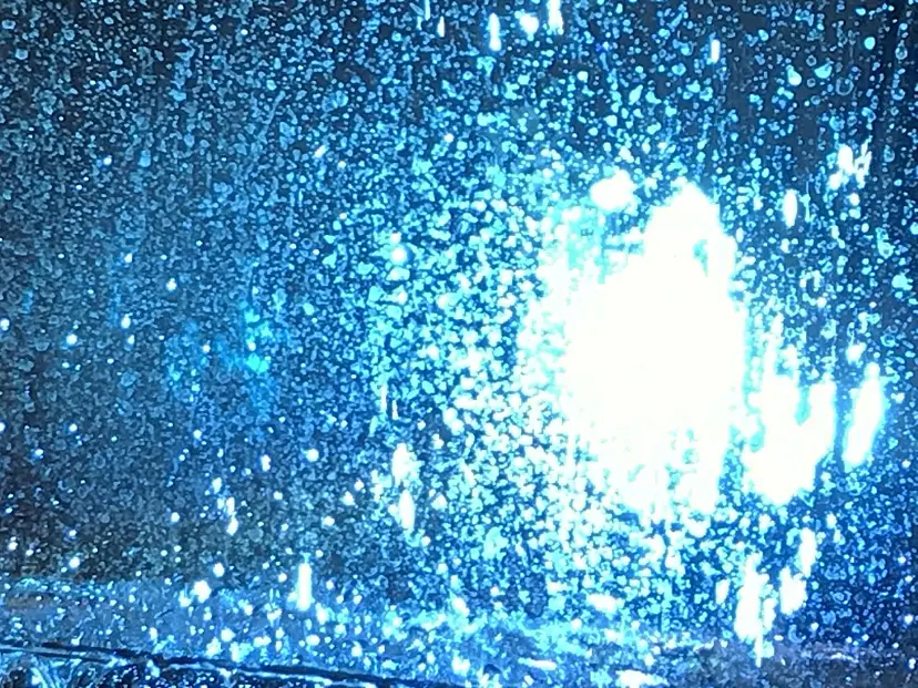 縁起熊手 UME by タカハシマホ | 現代アートの販売・通販 | ArtSticker