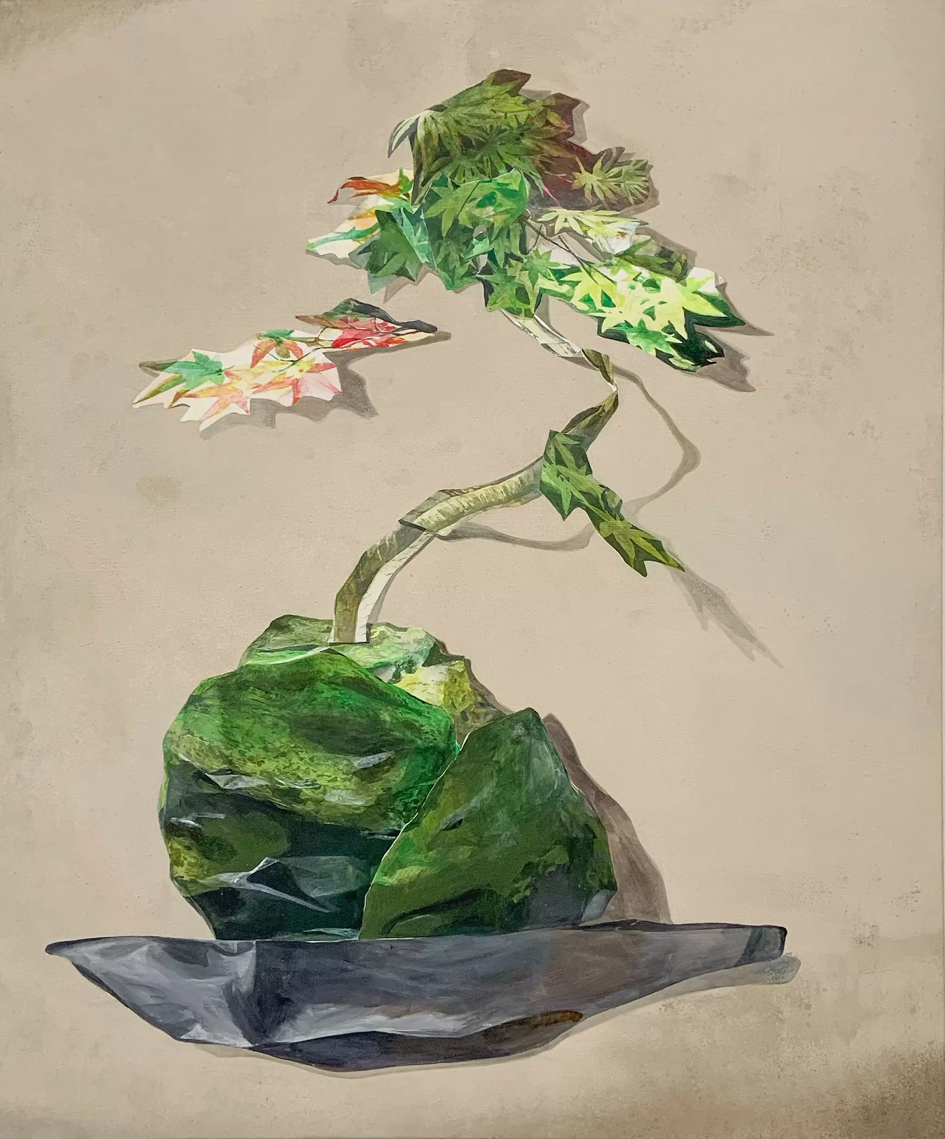 Bonsai #20