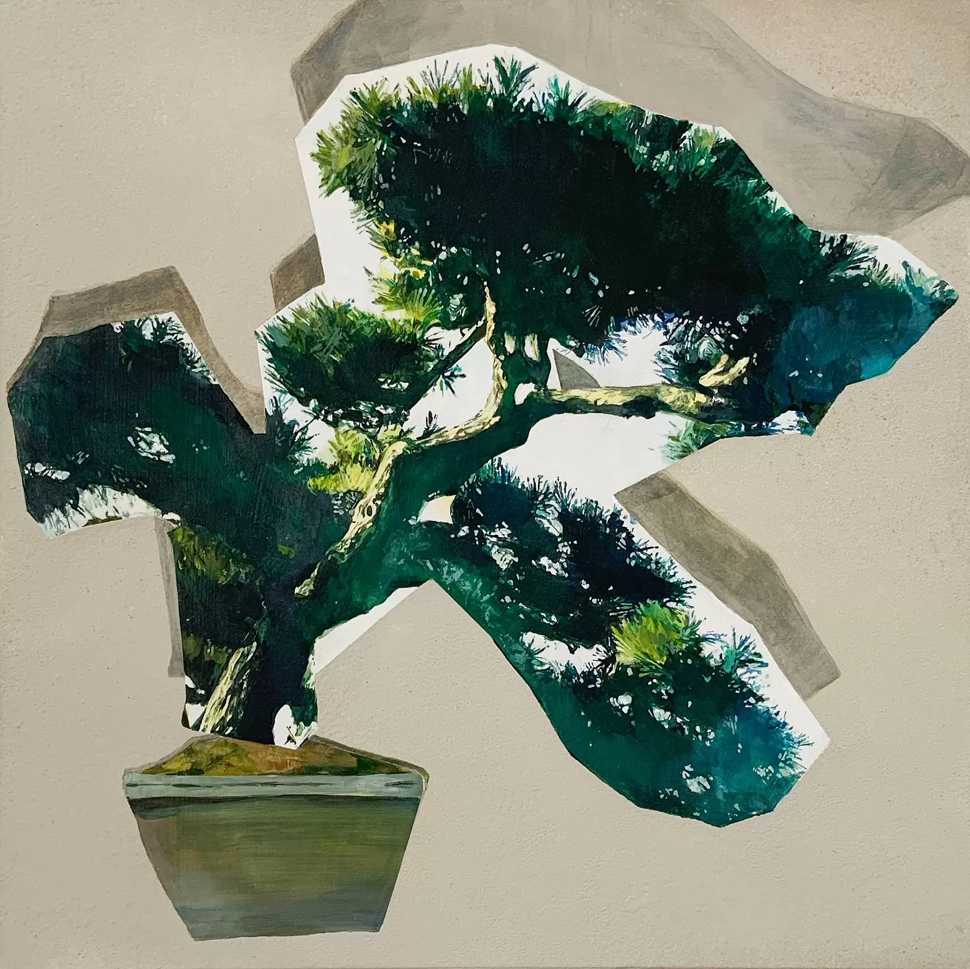 Bonsai #3