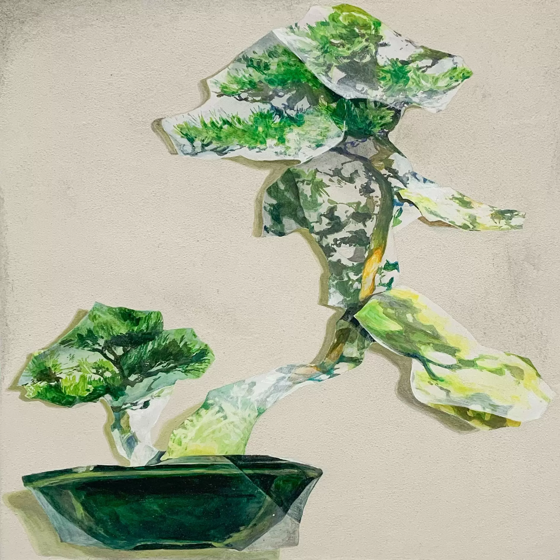 Bonsai #15