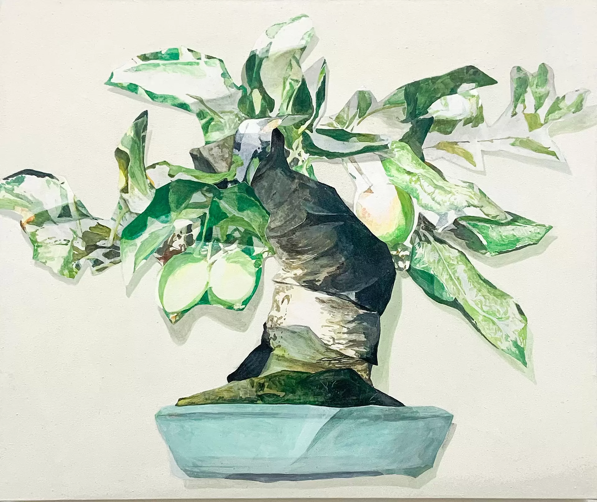 Bonsai #19