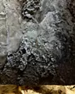 Sediment