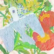 花鳥風月