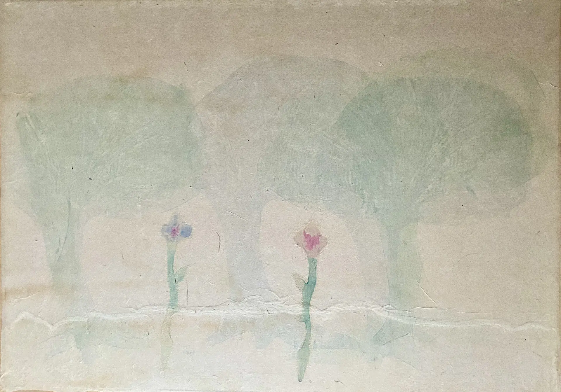 Wildflowers in the woods