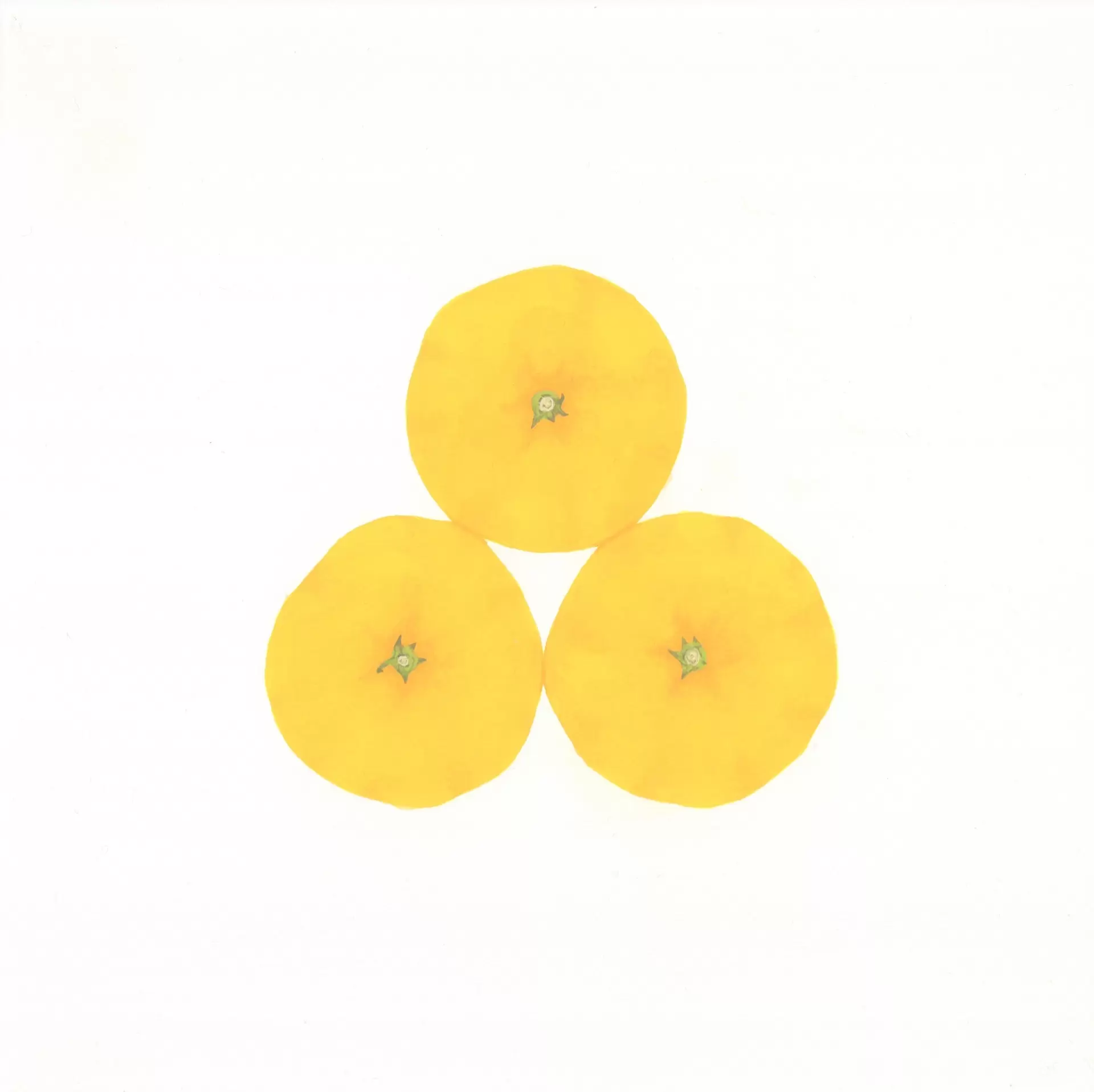 橘子