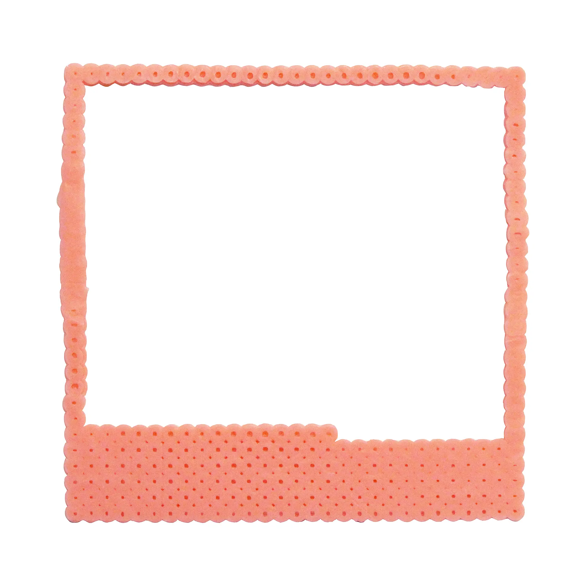 COLORNY (2018No76) 