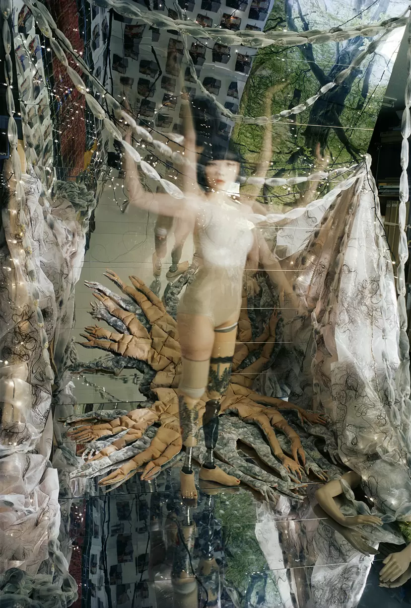 tree of life #012 by Mari Katayama