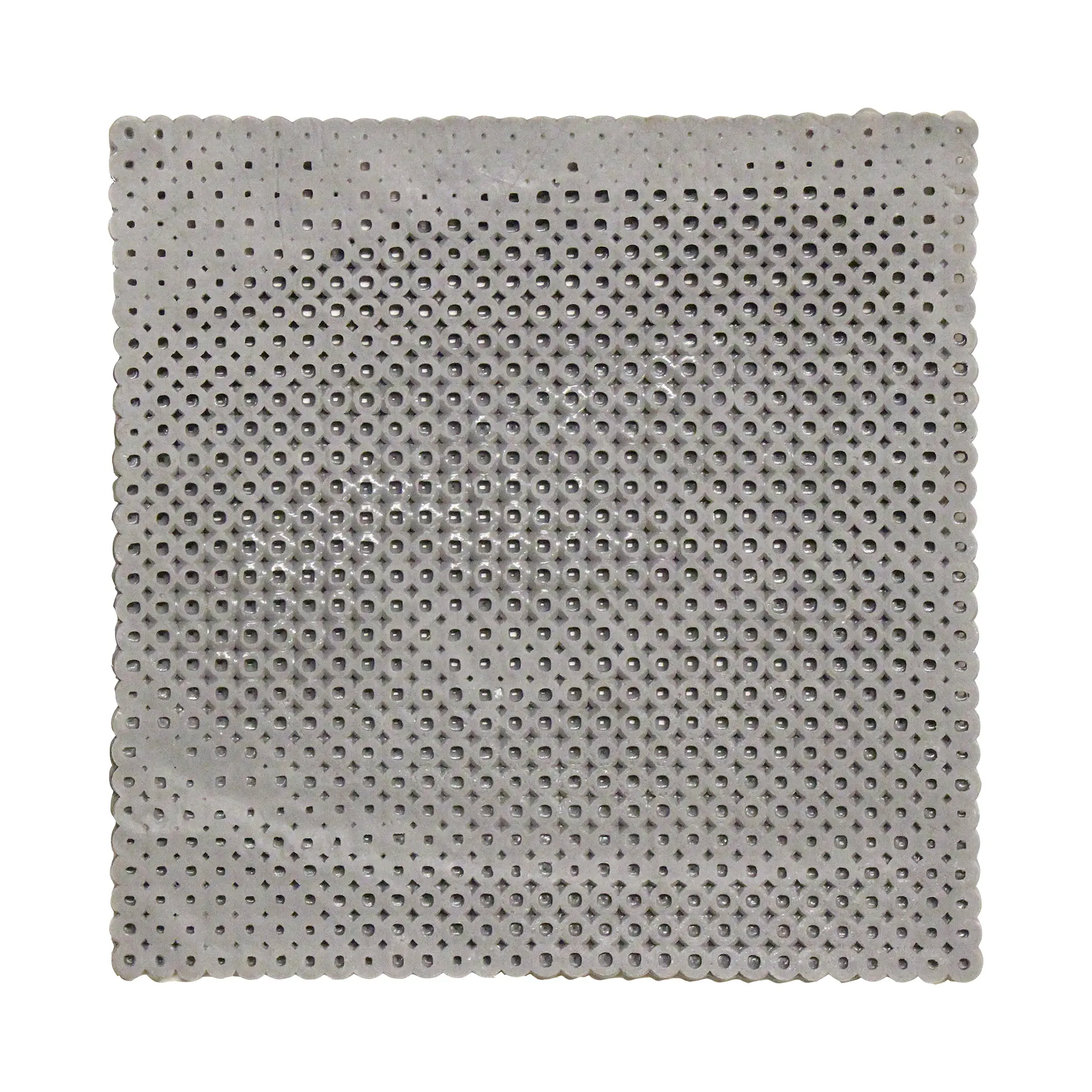 COLORNY  (2019.6No101)  