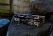 Pump collector