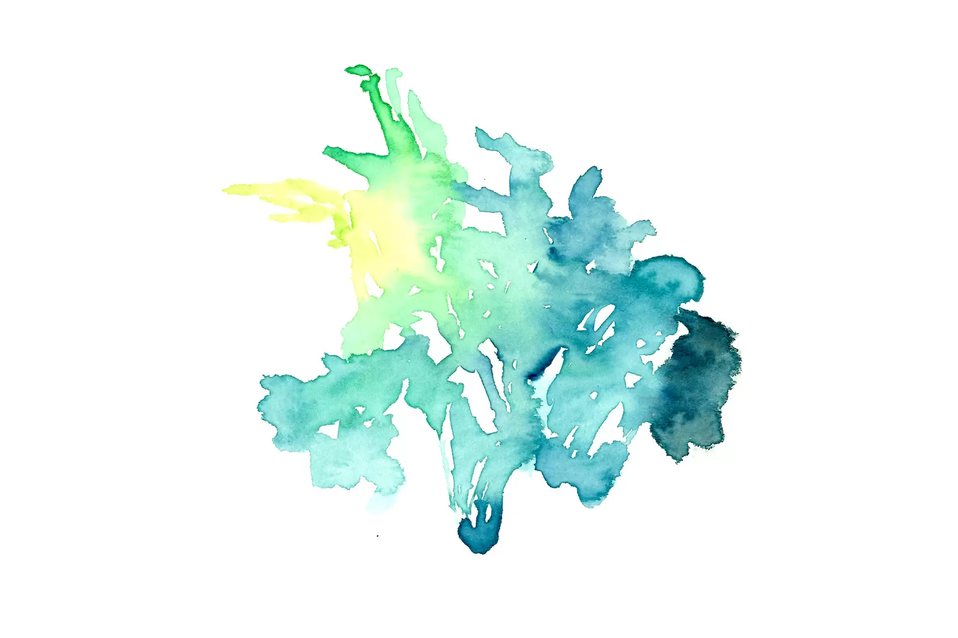 pneuma#12