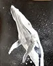 whale2