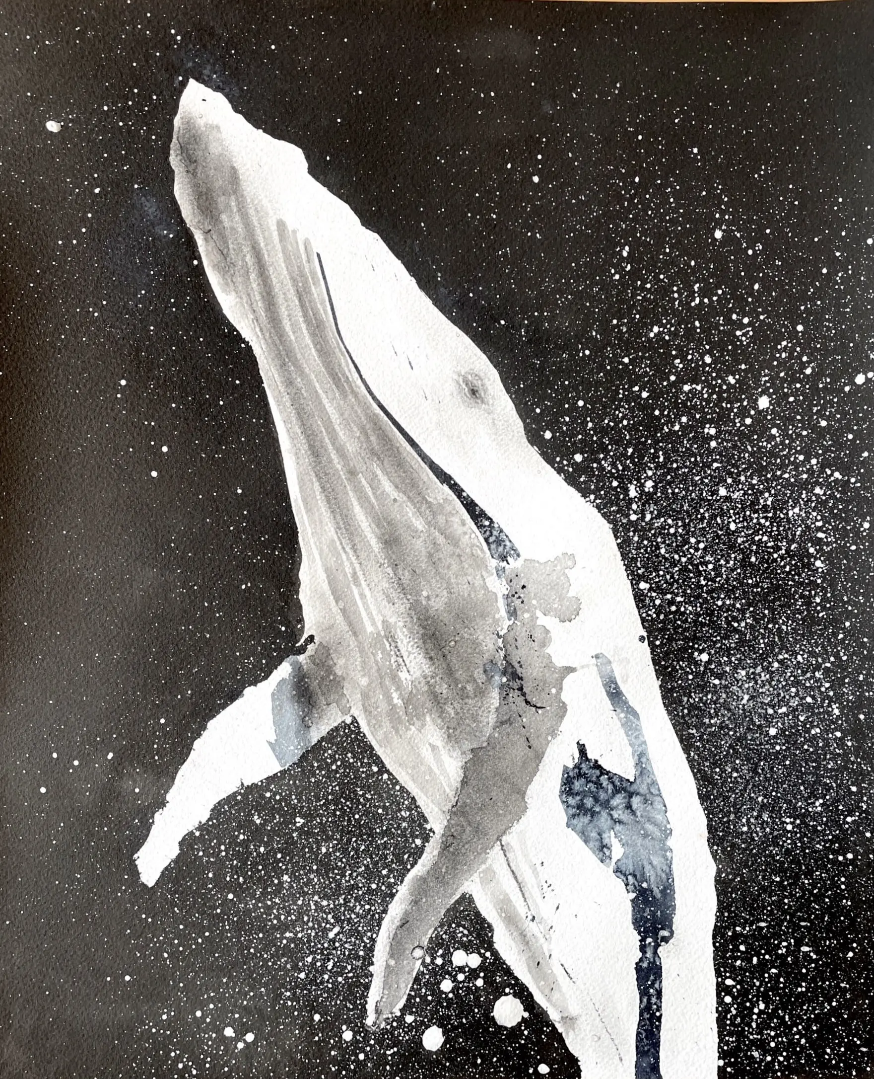 whale2