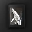 whale2