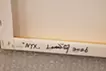 Nyx