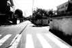 郊外の散歩