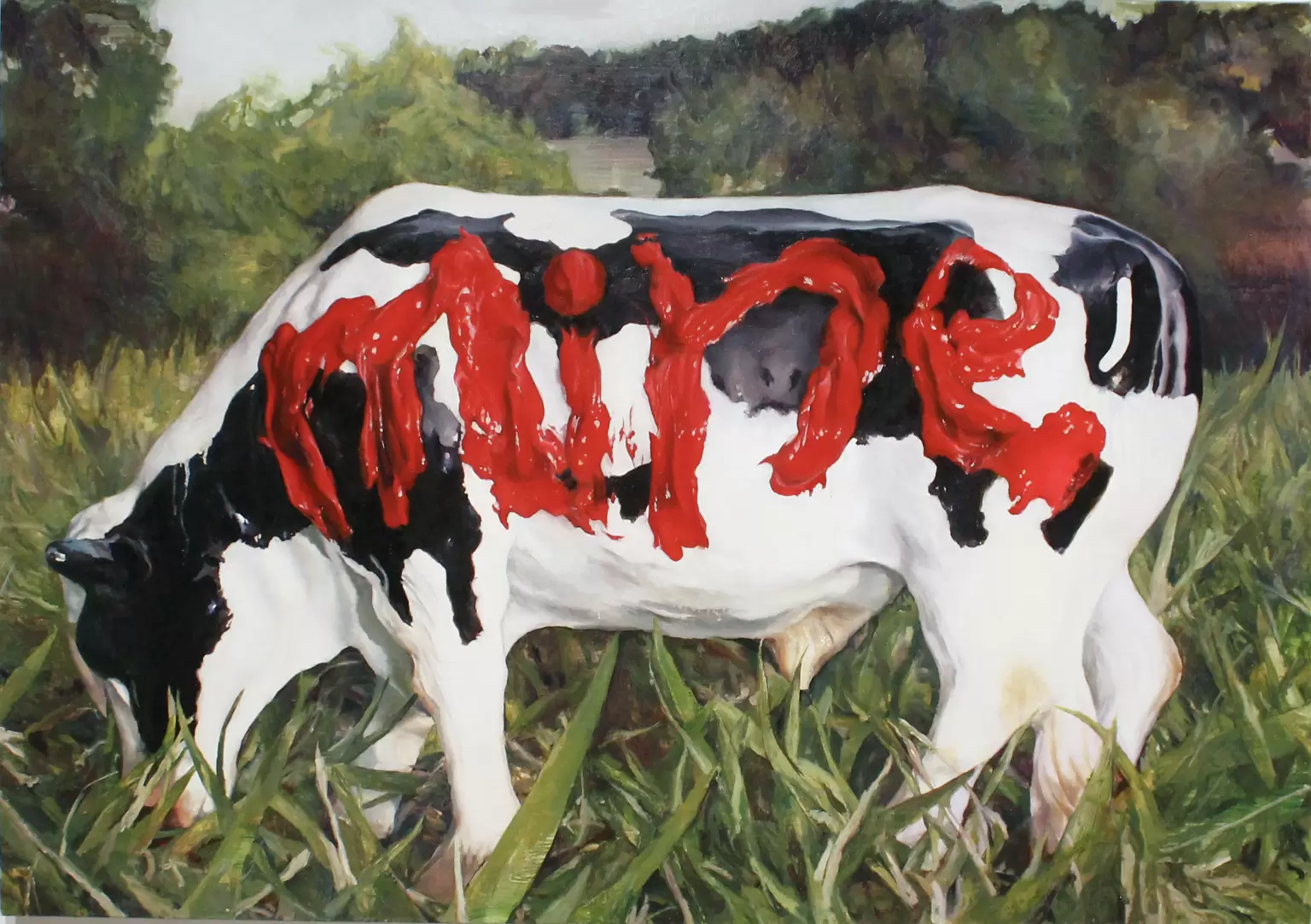 my ox