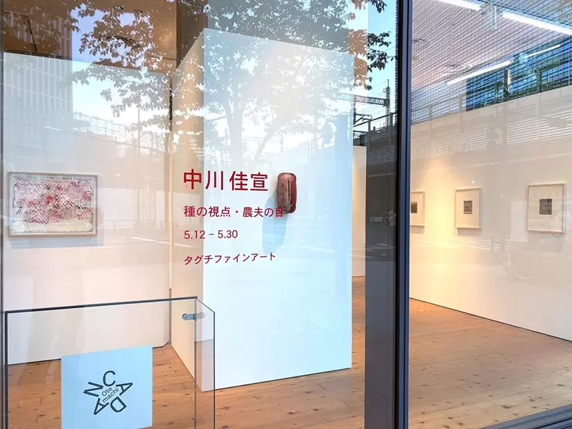 卓上の種子 94051 by 中川 佳宣 | 現代アートの販売・通販 | ArtSticker