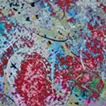 Layers of Color 2003