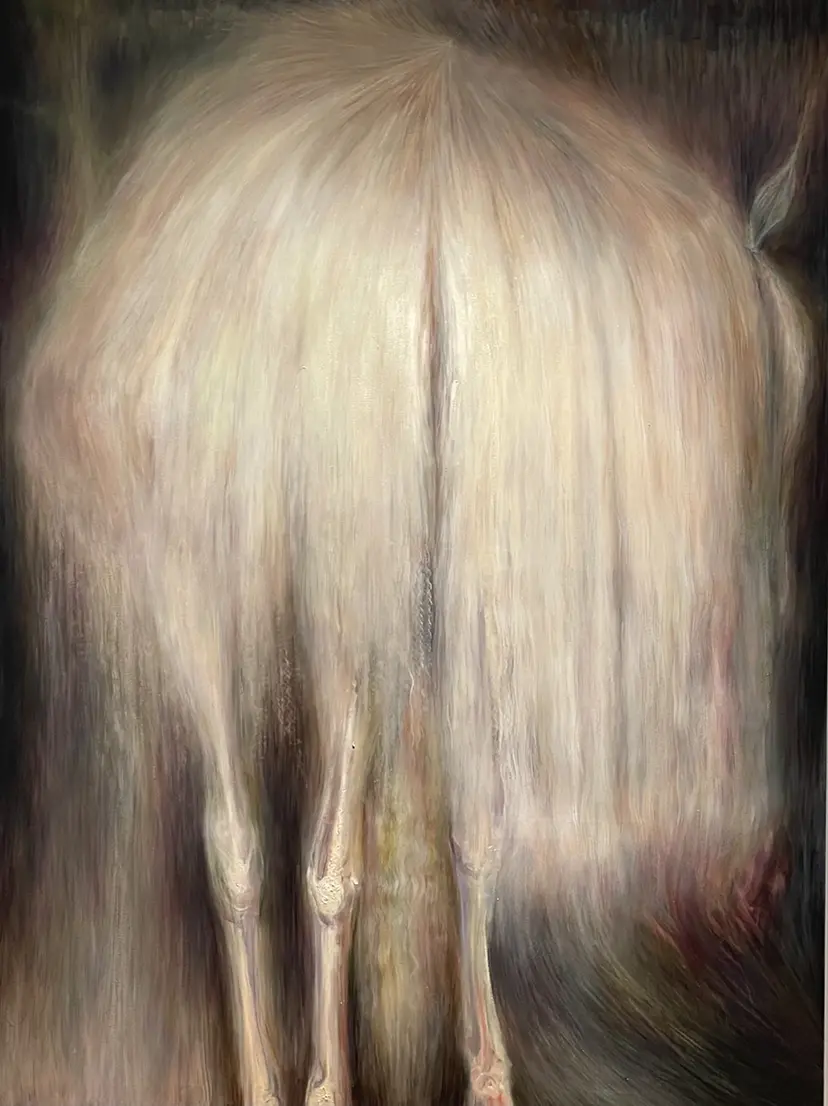 horses / Iguazu by Kosuke Yamawaki