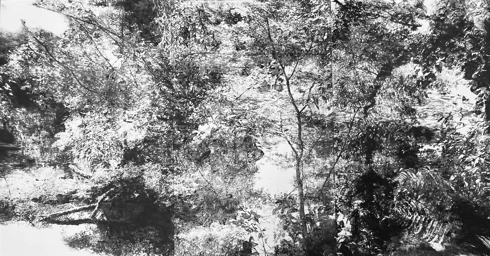 echoes of forest#10
