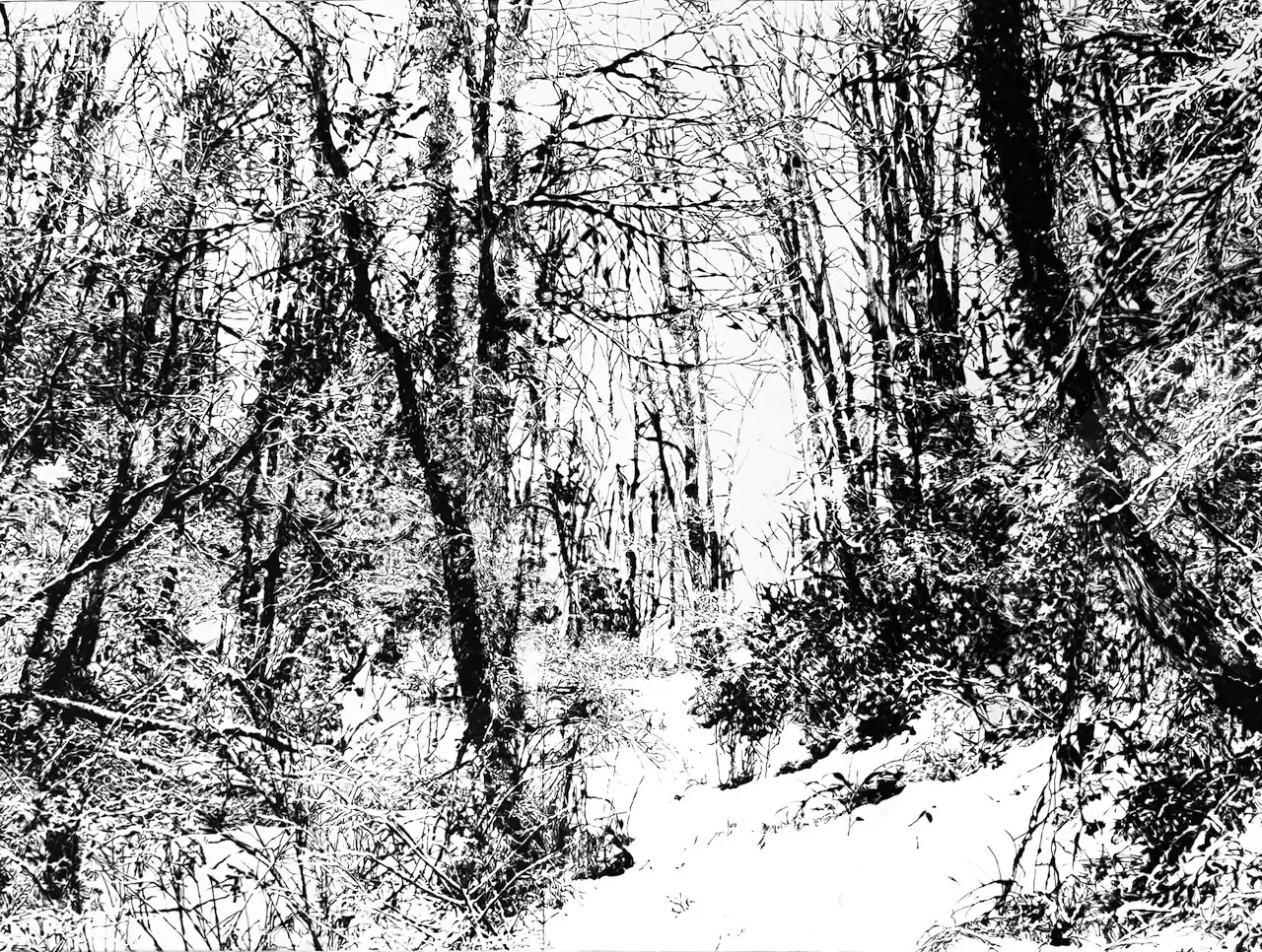 forest #1