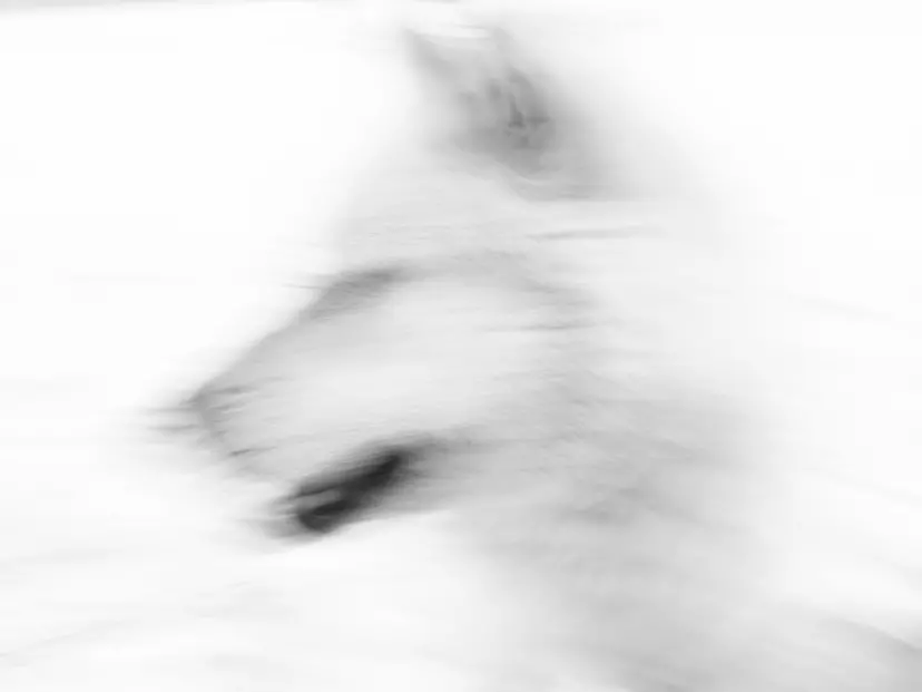 POLAR EXPOSURE      by 遠藤 励　Tsutomu Endo