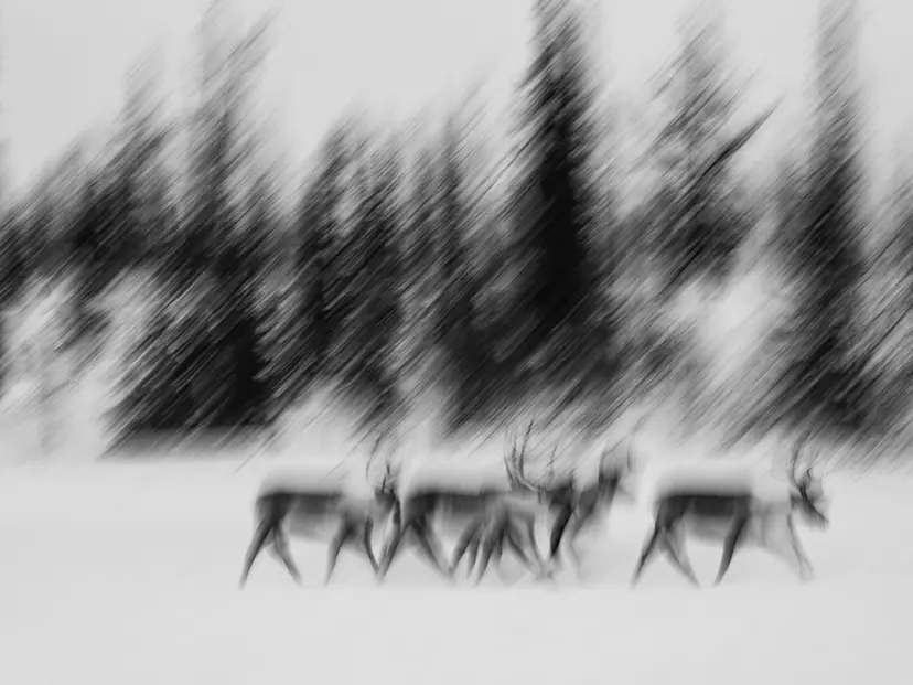 POLAR EXPOSURE       by 遠藤 励　Tsutomu Endo