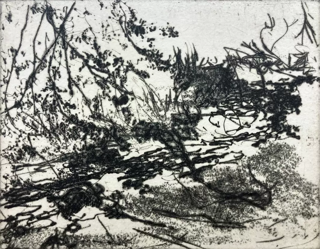 Carving our Landscape 2 