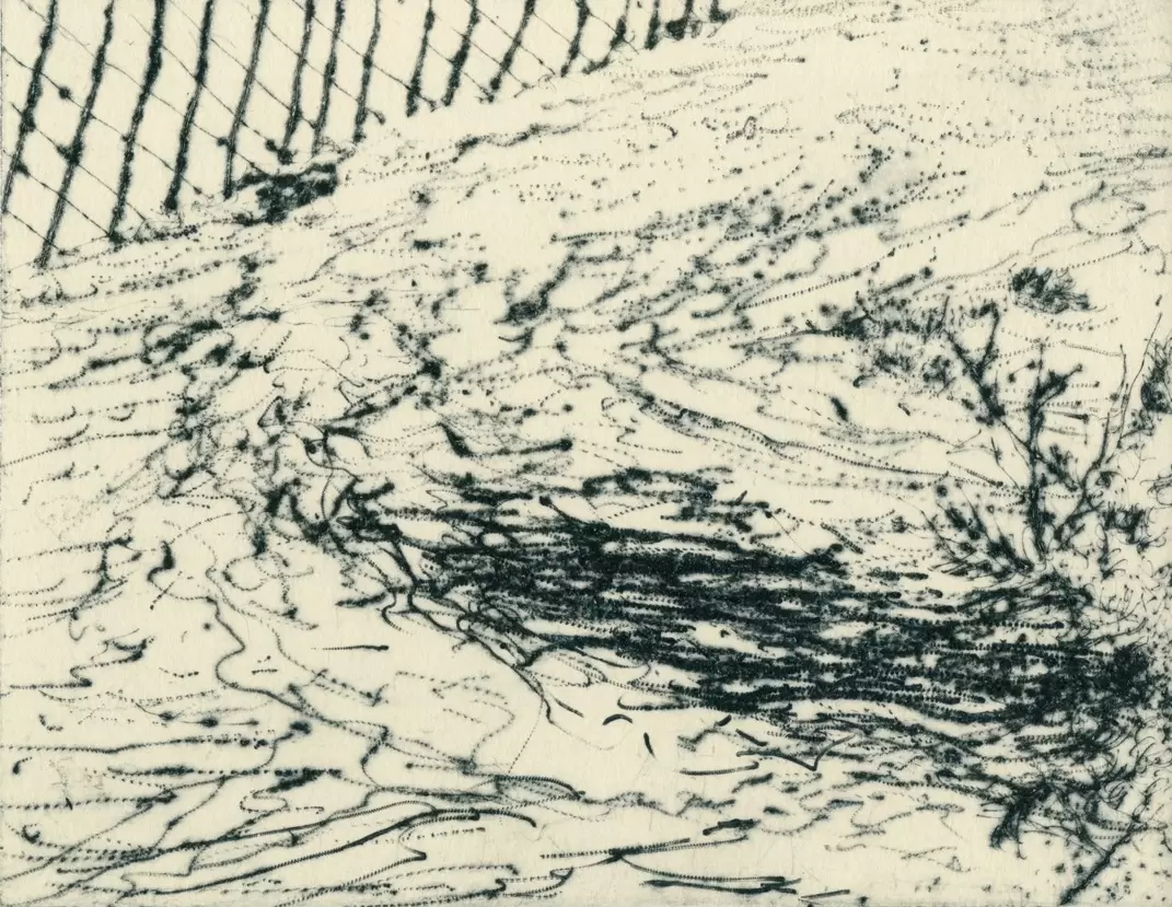 Carving our Landscape 4 