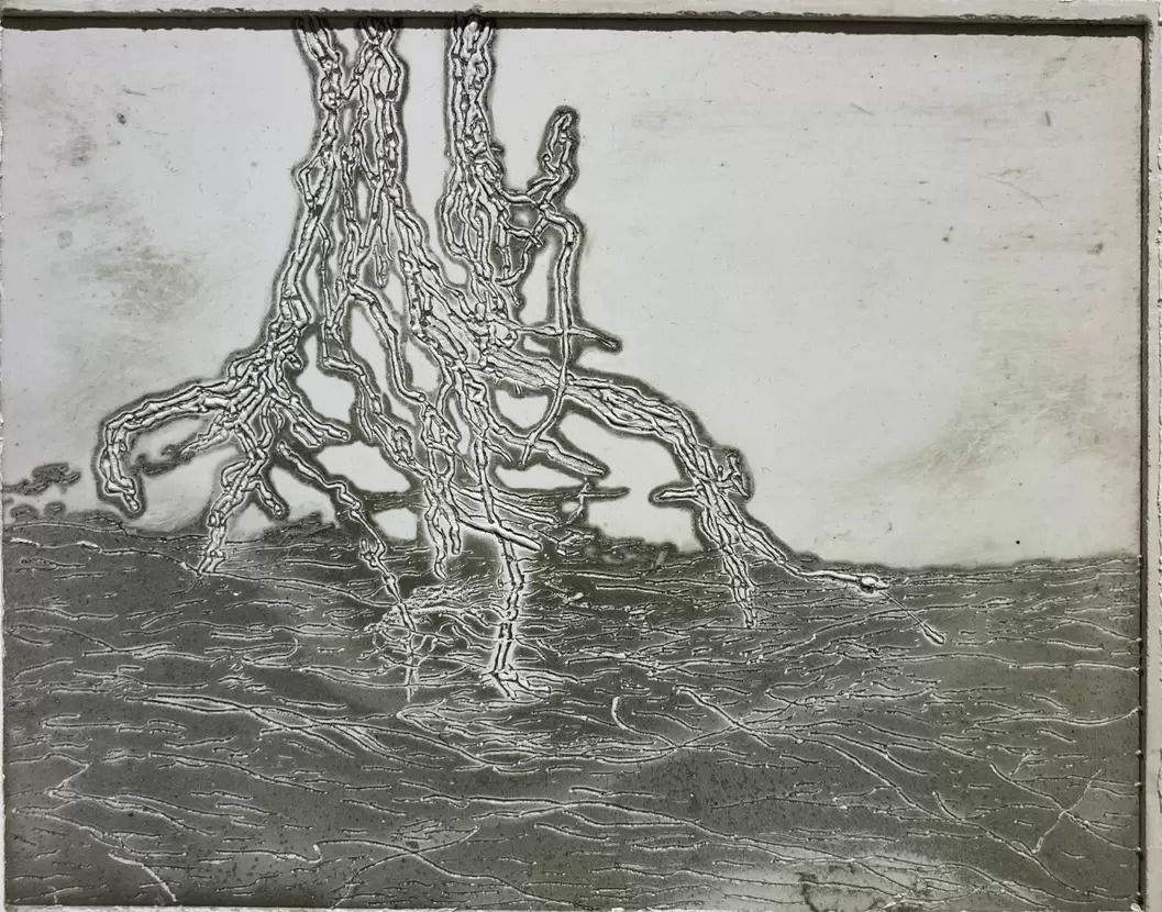 Sketch / a root