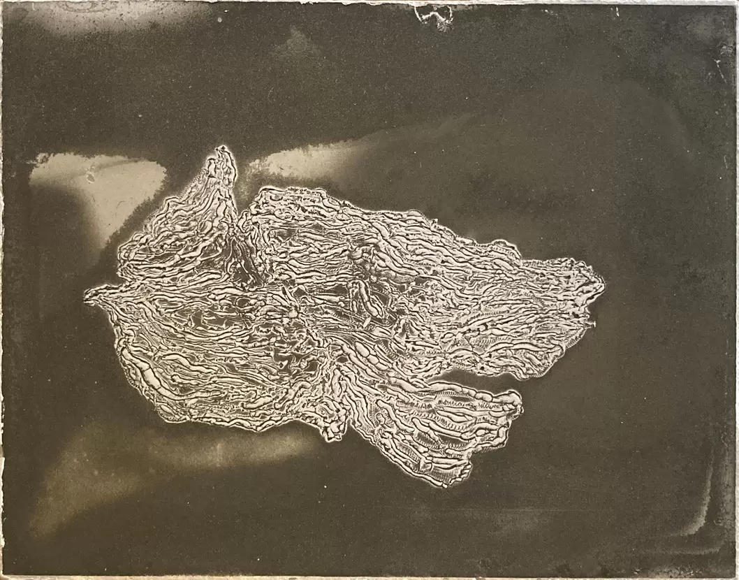 Sketch / a moss 