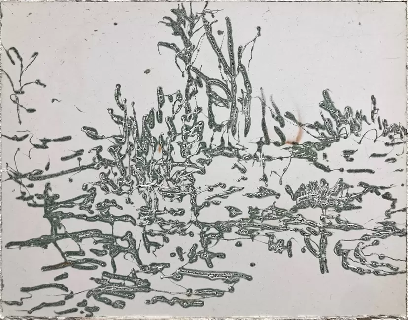 Sketch / a brook by 西村 涼