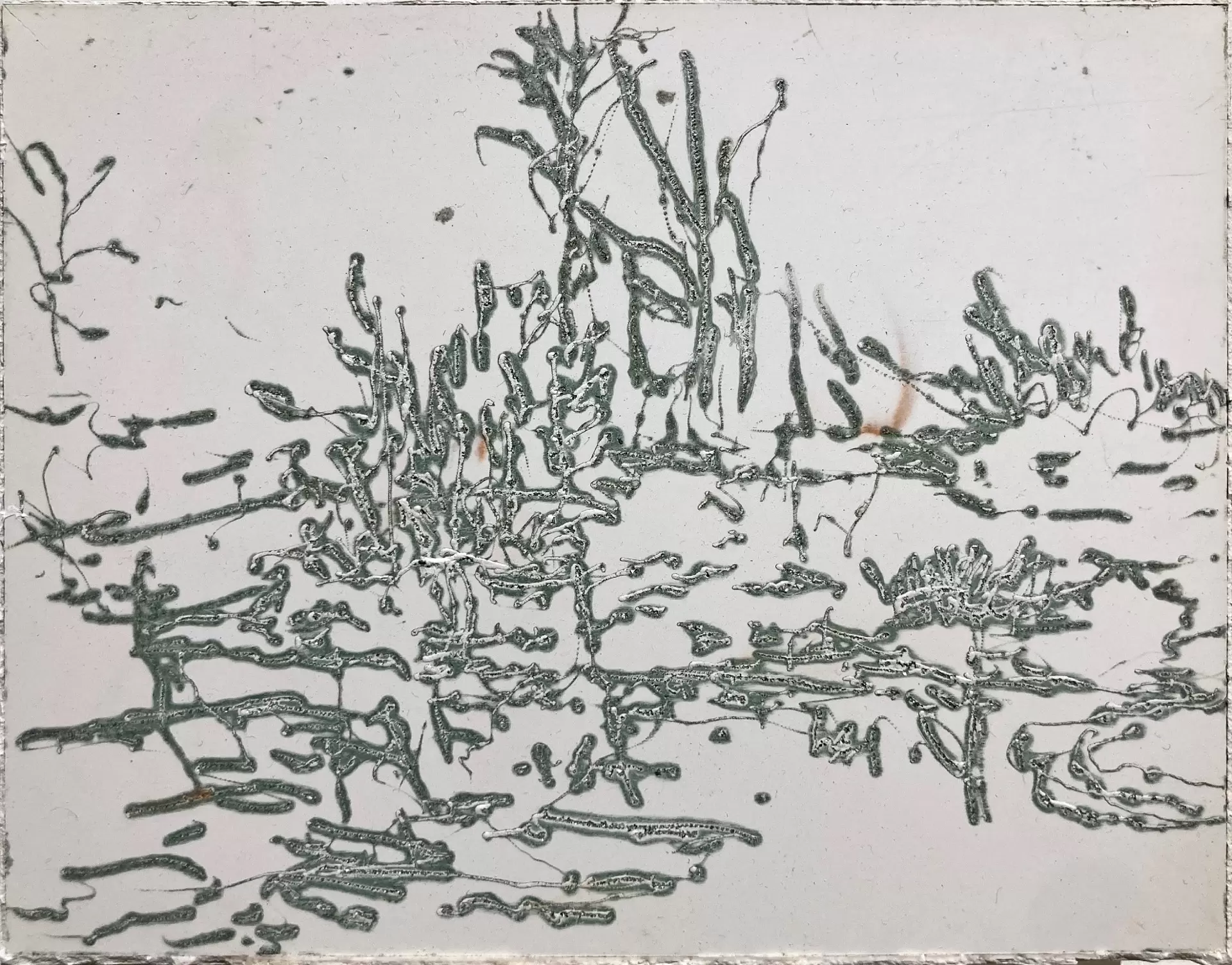 Sketch / a brook 