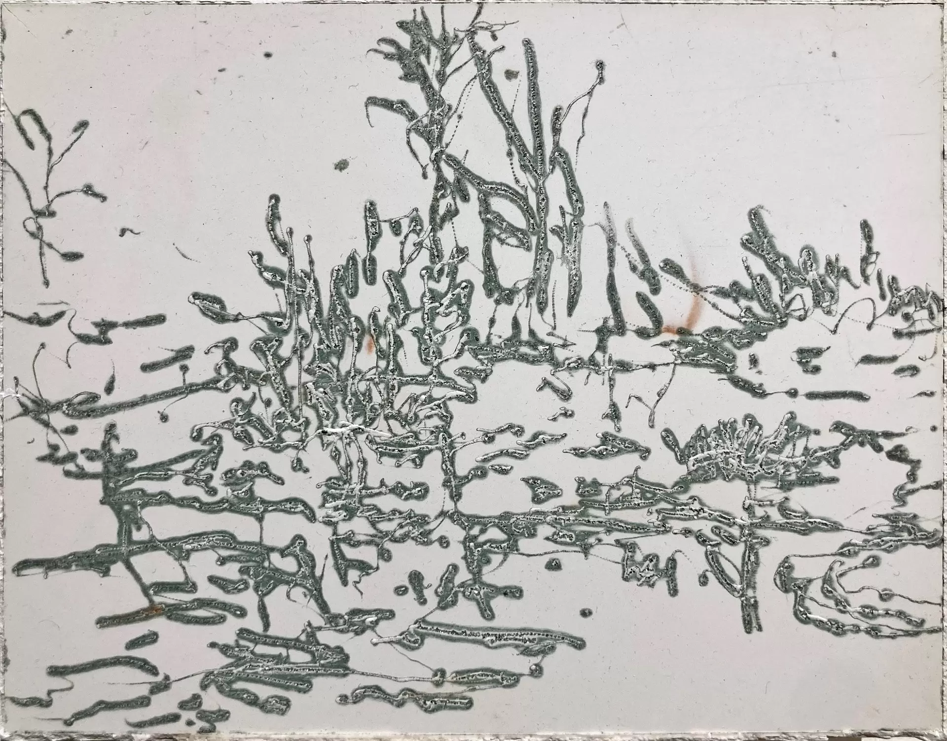 Sketch / a brook by 西村 涼 | 現代アートの販売・通販 | ArtSticker