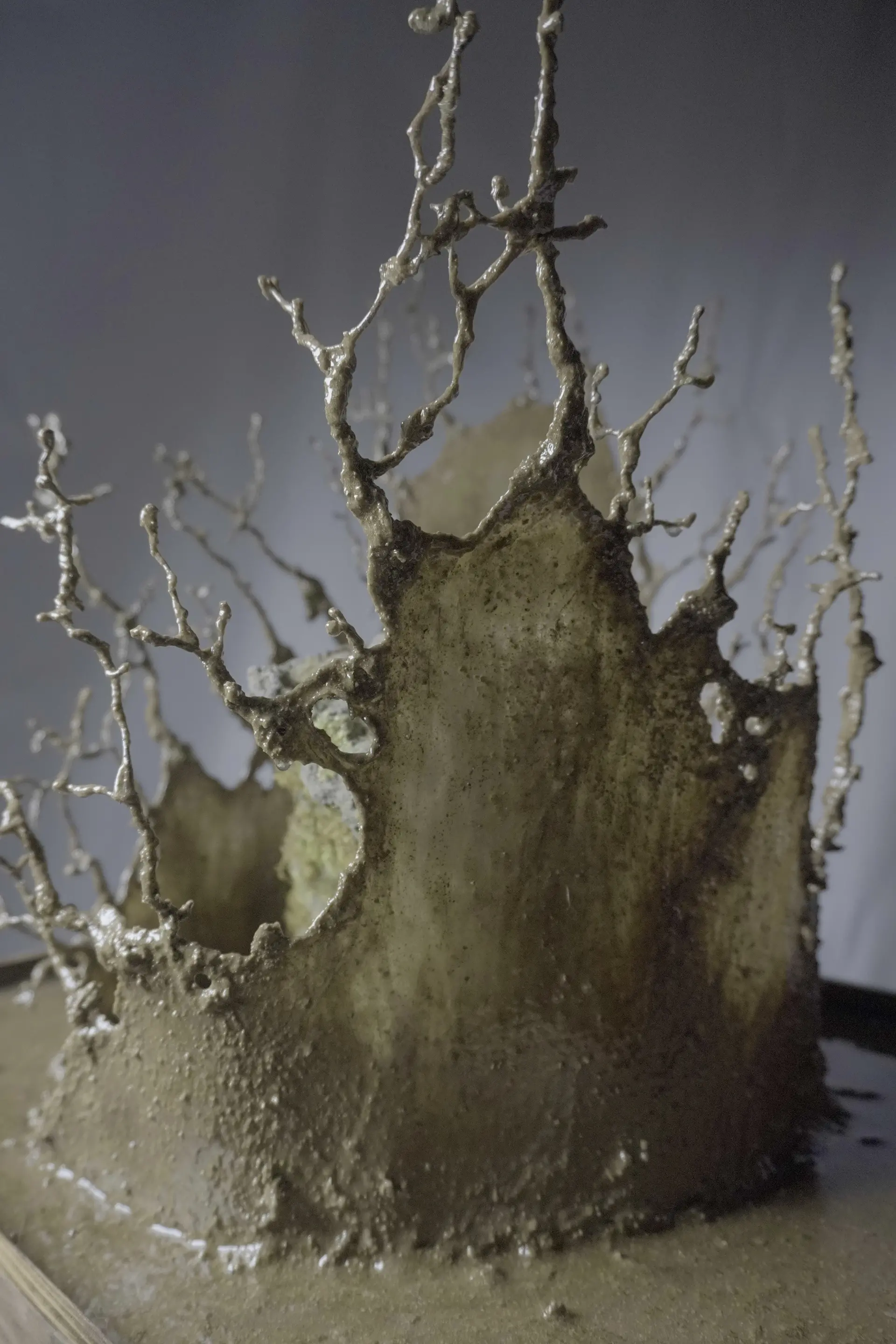 Neo wabi-sabi 美汚 -bio- by Masaki Fujieda | 現代アートの販売