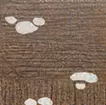 Composition 60326