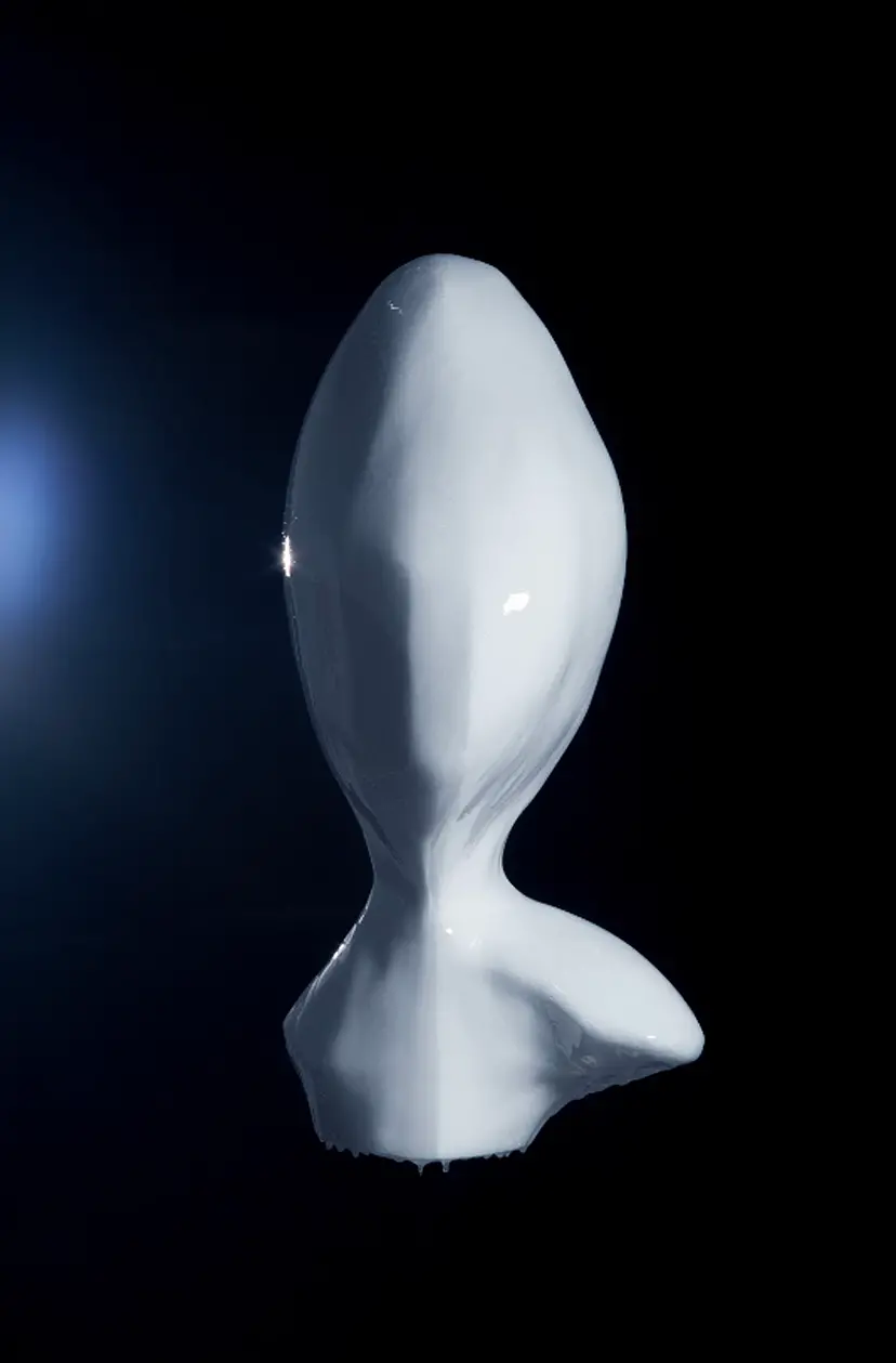 protrusion #1 by 岸 裕真