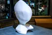 protrusion #1