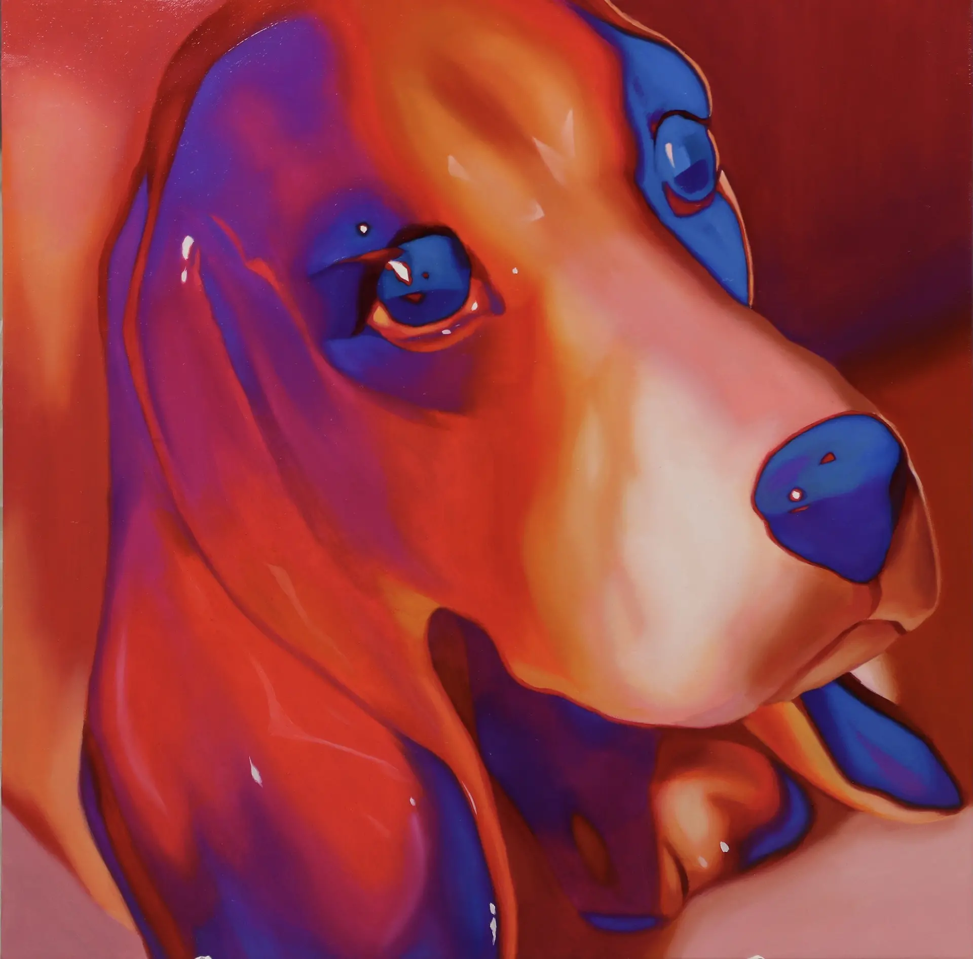 absolute difference series “Ceramic dog IV”