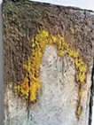 ここからはじまる