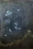 花舞う処