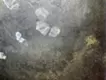花舞う処