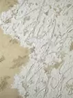 生きる