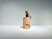 風に聞く -ネズミ-
