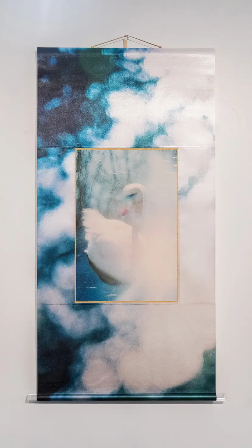 pm 13:51 by Karin Shikata