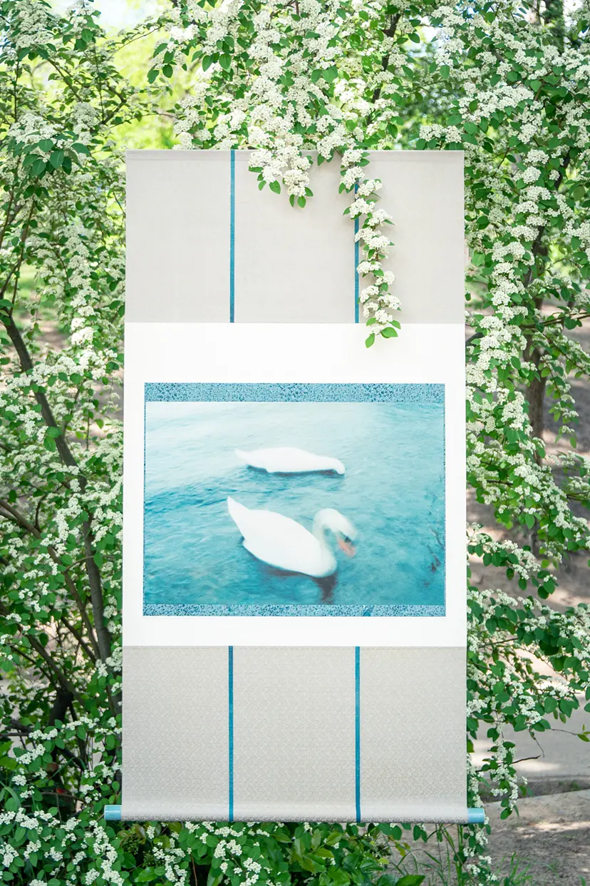 white swans 白鳥 by 四方 花林