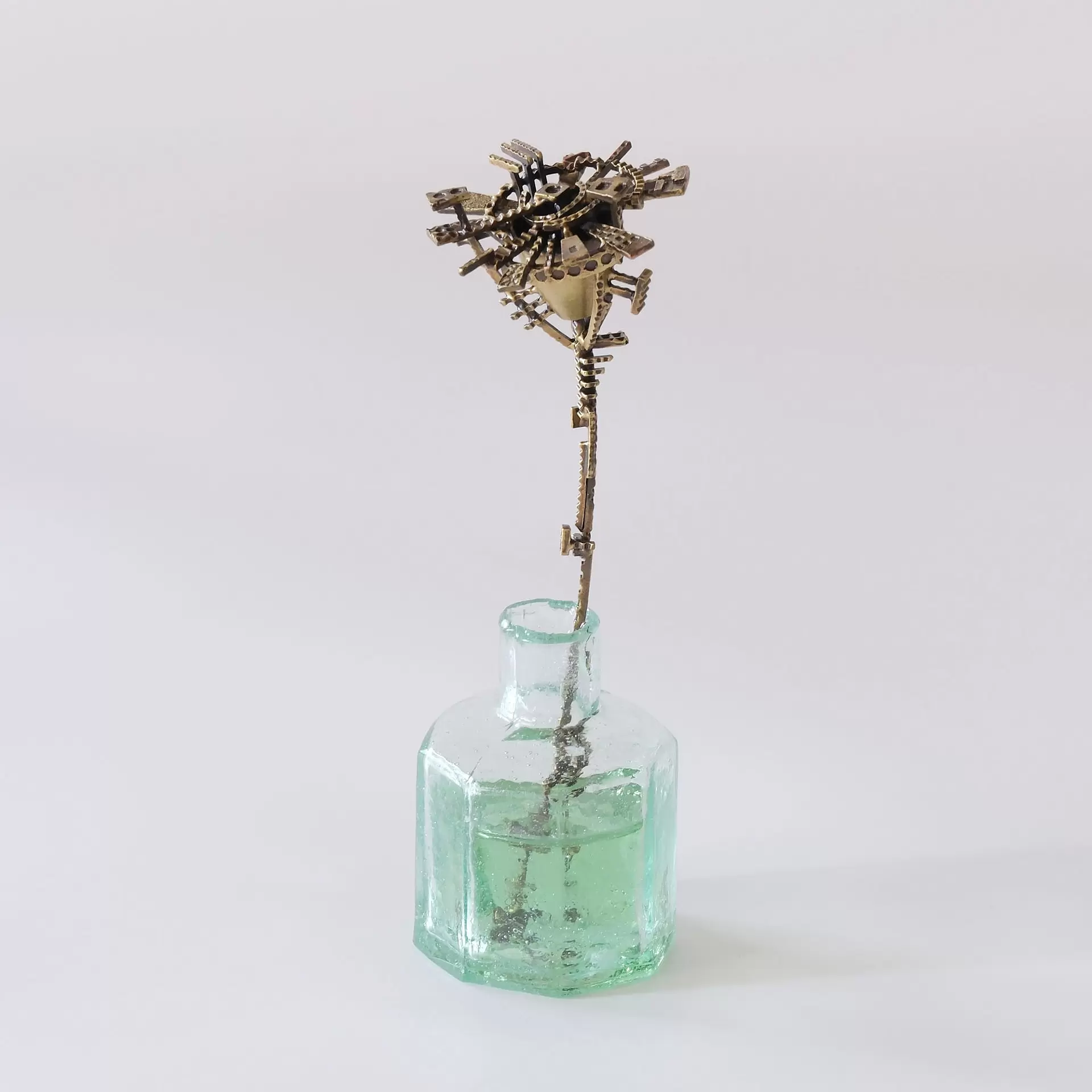 grow-flower15- 