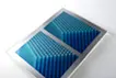 WOW Edition|BLUE STICKS