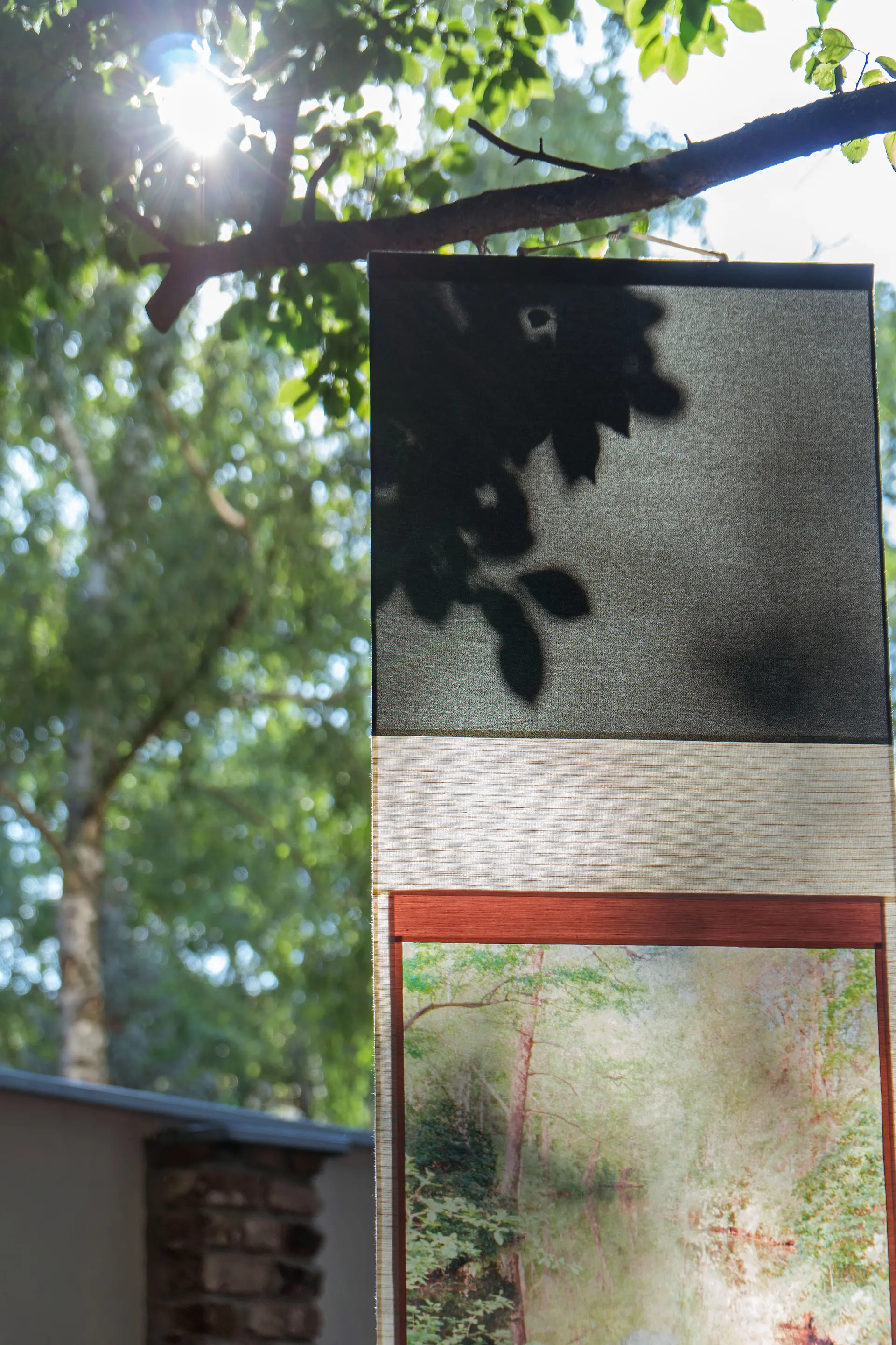 mirror in the forest 森の鏡 by 四方 花林 | 現代アートの販売