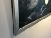 自由に舞う音楽